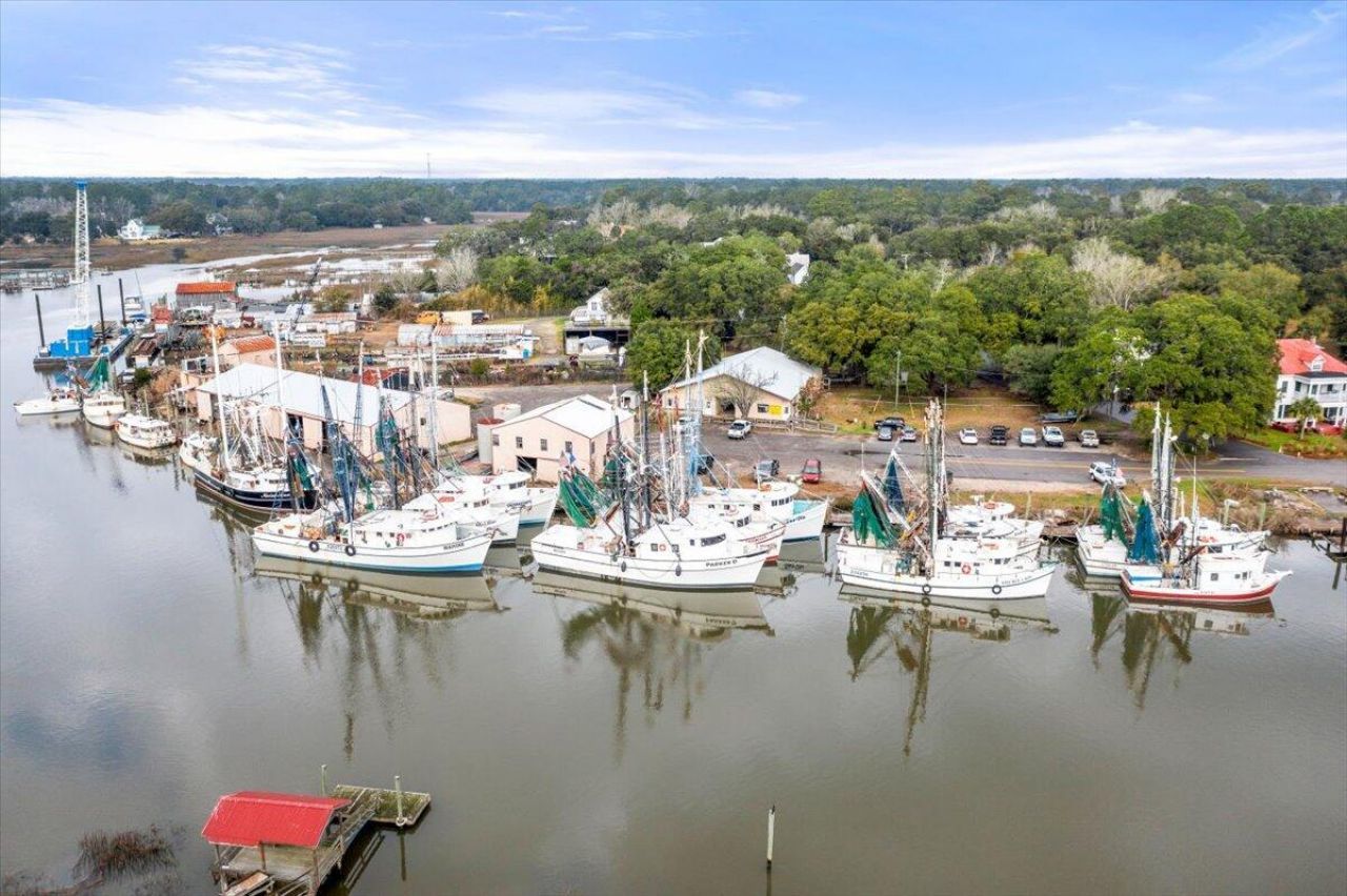 336 Drayton Street Photo 15