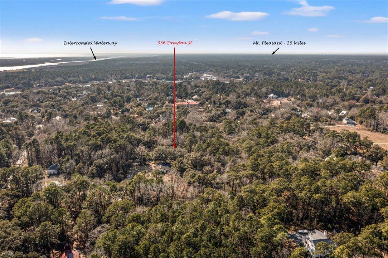 336 Drayton Street Photo 7