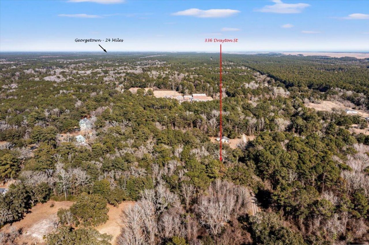 336 Drayton Street Photo 8