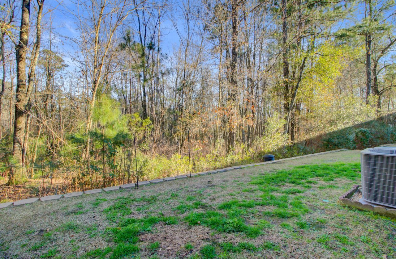 1003 Pine Bluff Drive Photo 27