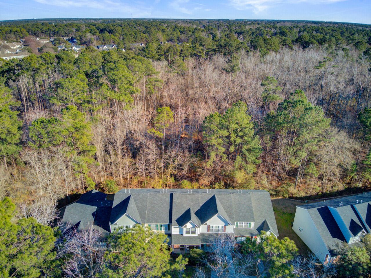 1003 Pine Bluff Drive Photo 31