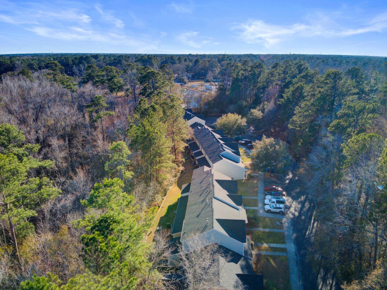 1003 Pine Bluff Drive Photo 36