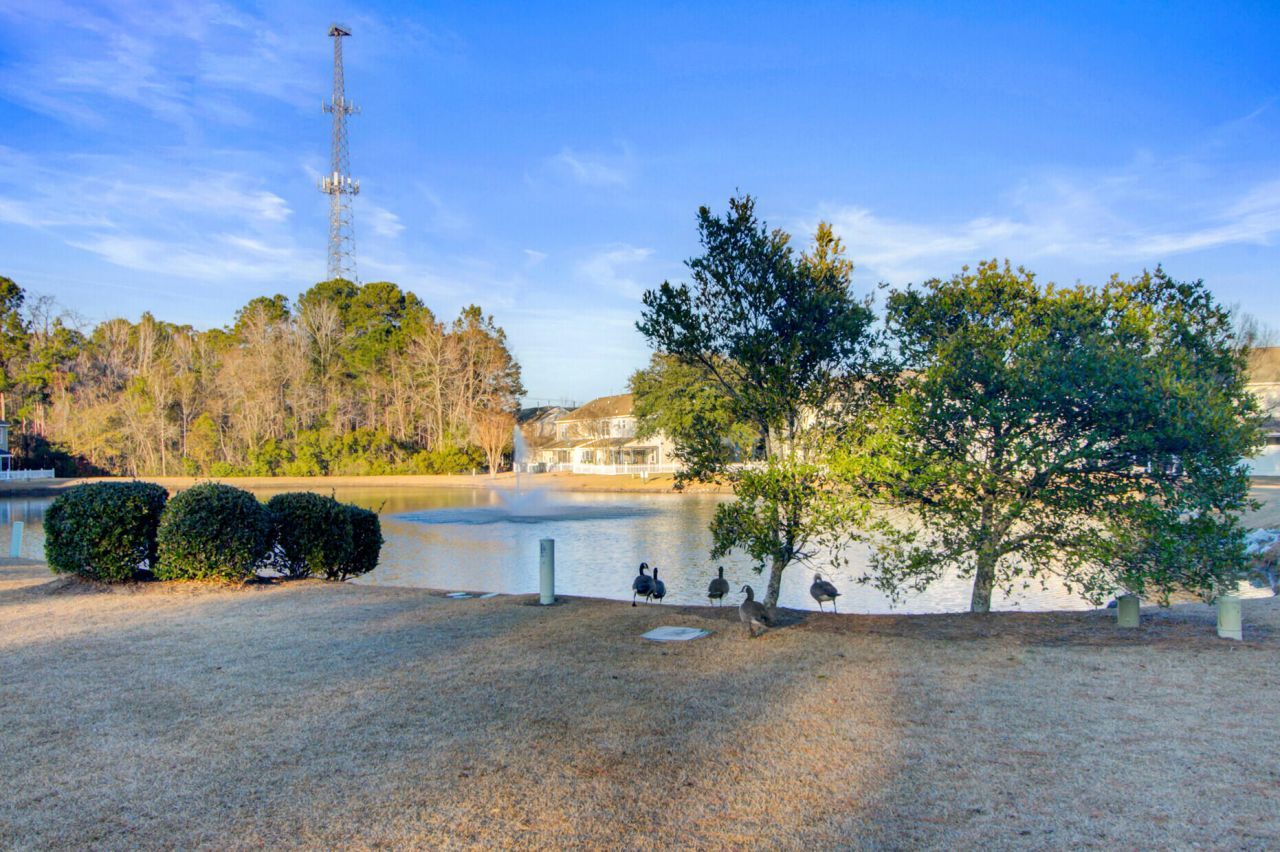 1003 Pine Bluff Drive Photo 44