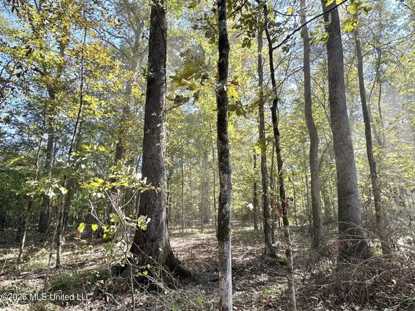 4 Evans Road, Carthage, MS 39051