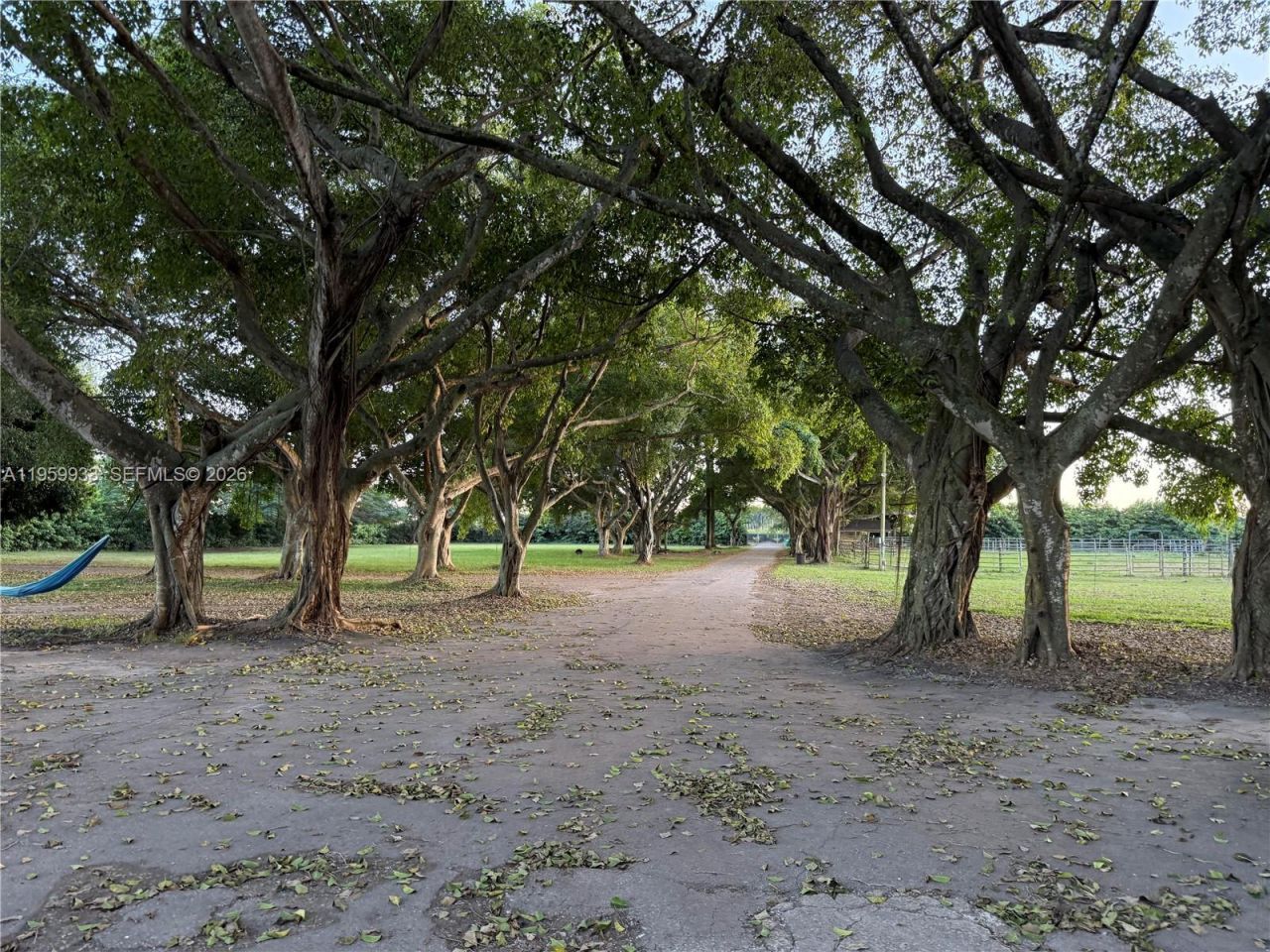 19051 SW 136th St, Miami, FL 33196 Photo