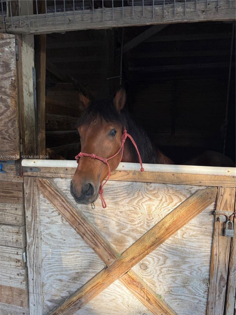 19051 SW 136th St, Miami, FL 33196 Photo