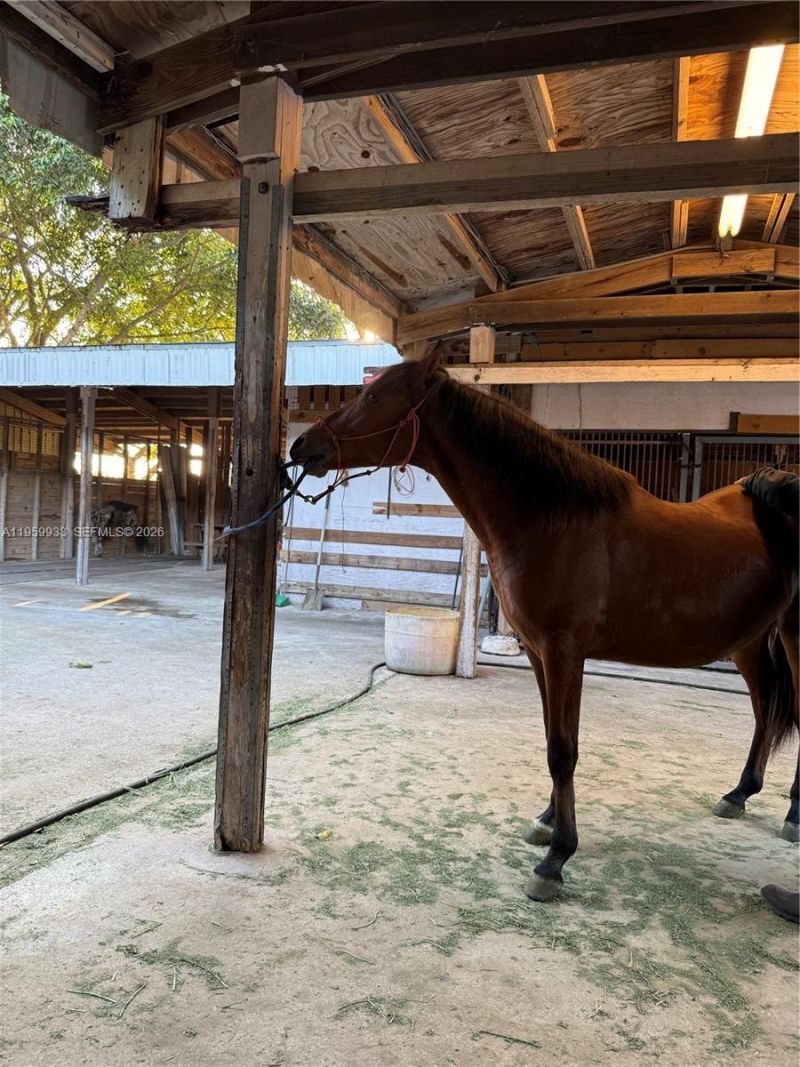 19051 SW 136th St, Miami, FL 33196 Photo