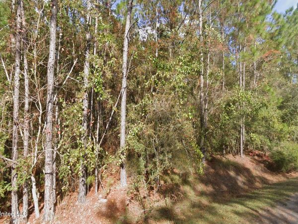 Cedar Drive, Bay Saint Louis, MS 39520