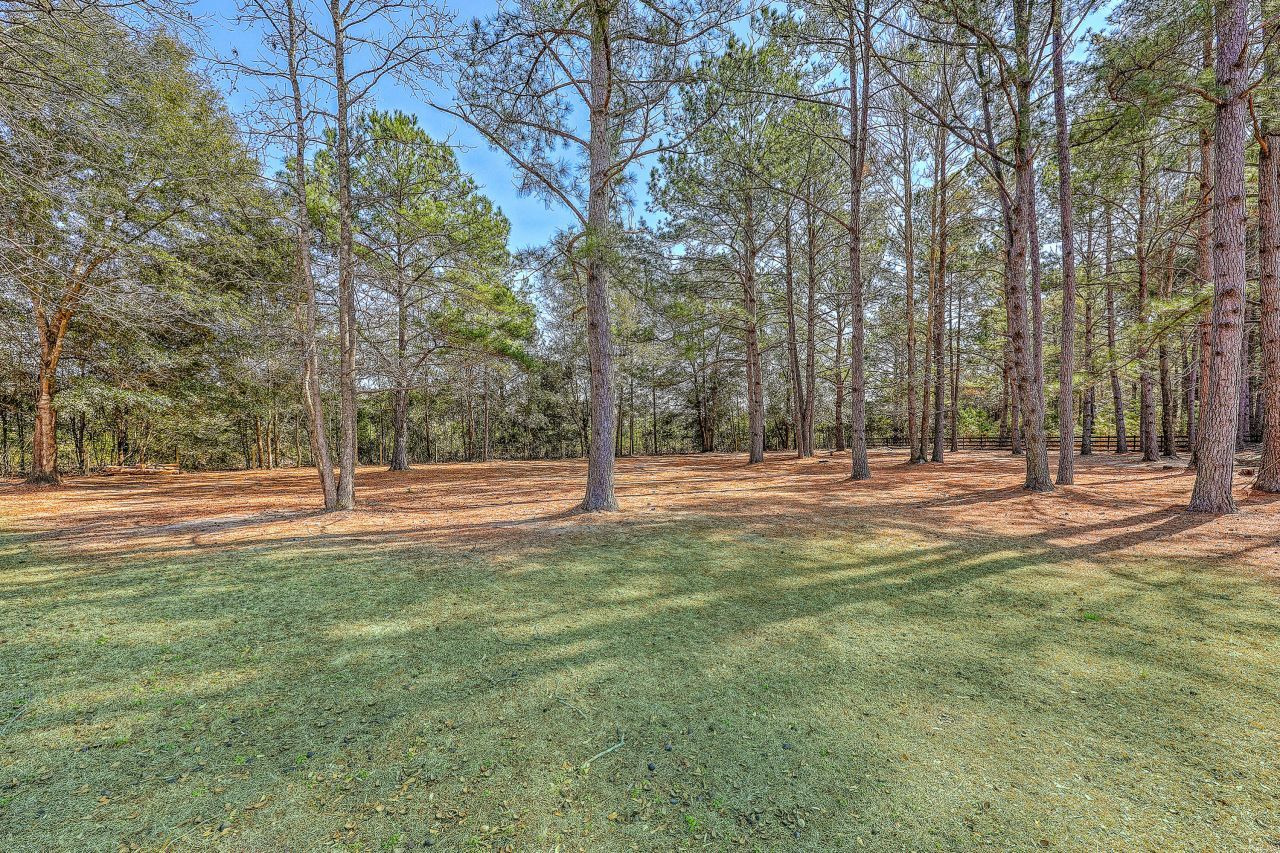 6968 Hyde Farm Road Photo 45