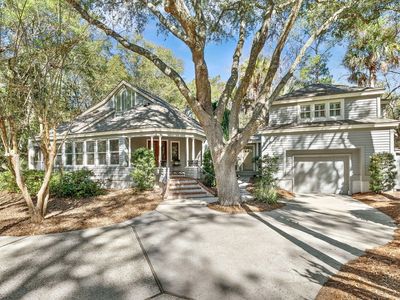 50 Crested Flycatcher, Kiawah Island, SC 29455
