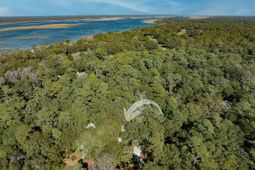 50 Crested Flycatcher photo 4