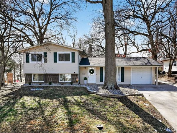 10 Barbre Court, Webster Groves, MO 63119