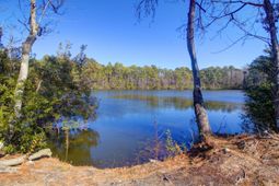 3056 Grand Bay Lane photo 4