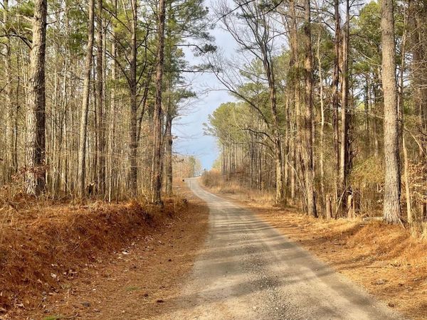 0 Padgett Road, Unit LOT 14, Senoia, GA 30276