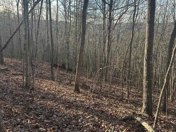 Lot 278 Purple Iris, Wilder, TN 38589