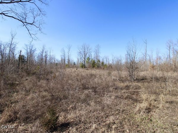 000 Shady Hill Road , Lexington, TN 38351