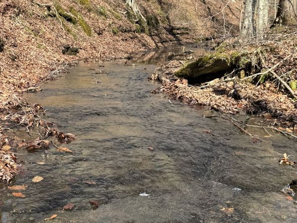 0 Old Hwy 96 , Franklin, TN 37064