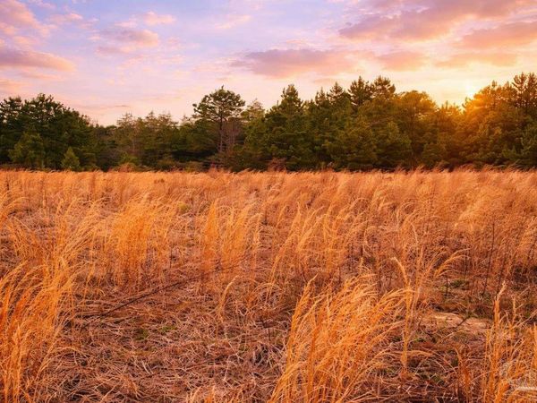 Lot 42 Mineral Springs Rd, Jay, FL 32565