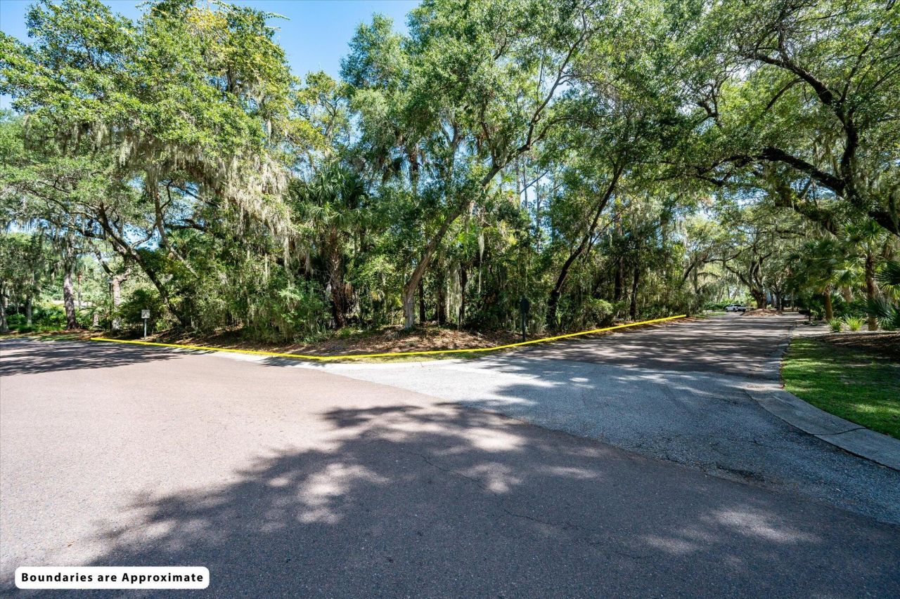 3232 Seabrook Island Road Photo 4