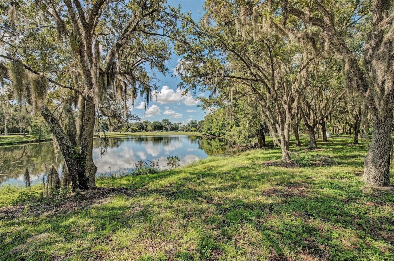 6726 Hickory Hammock Circle, Bradenton, FL 34202 Photo