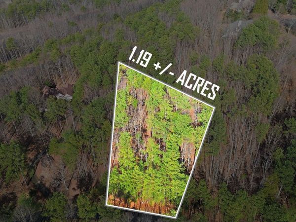 765 Plum Lane, Unit LOT 765, Clarkesville, GA 30523