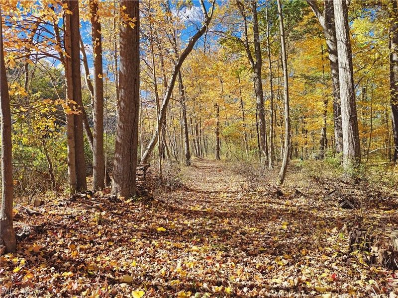 2264 River Road, Willoughby Hills, OH 44094 Photo 31