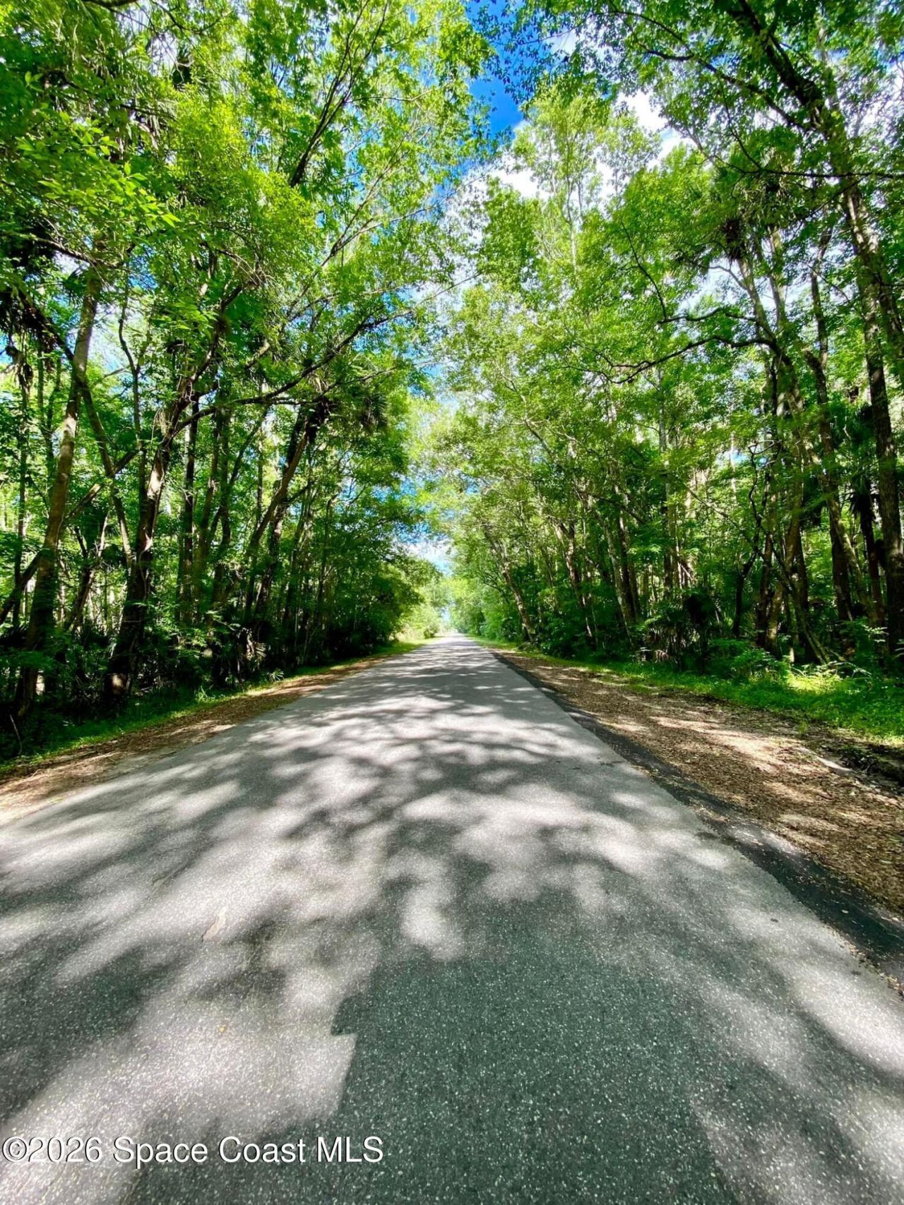 56304 Acorn Road, Astor, FL 32102 Photo