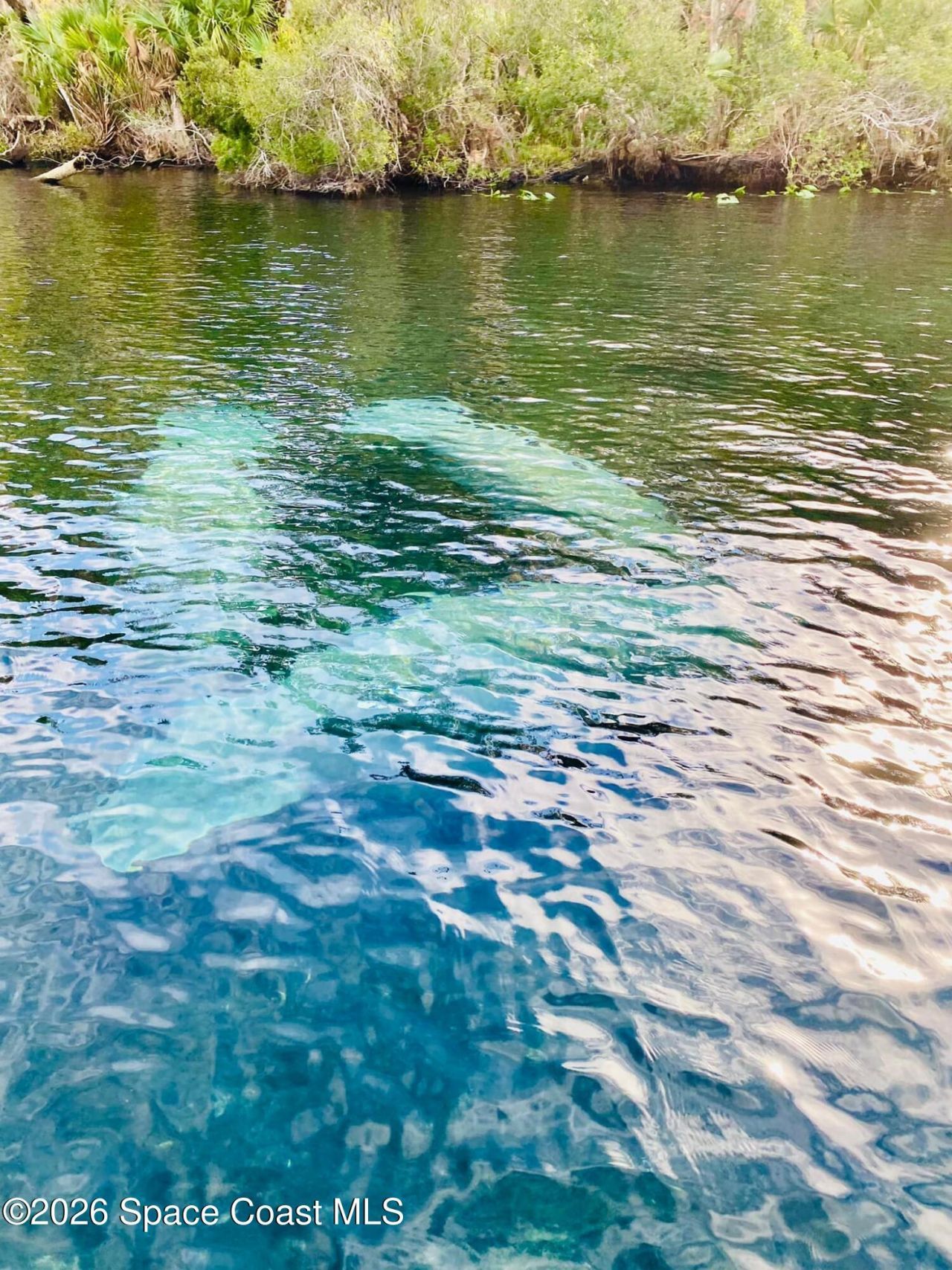 56304 Acorn Road, Astor, FL 32102 Photo