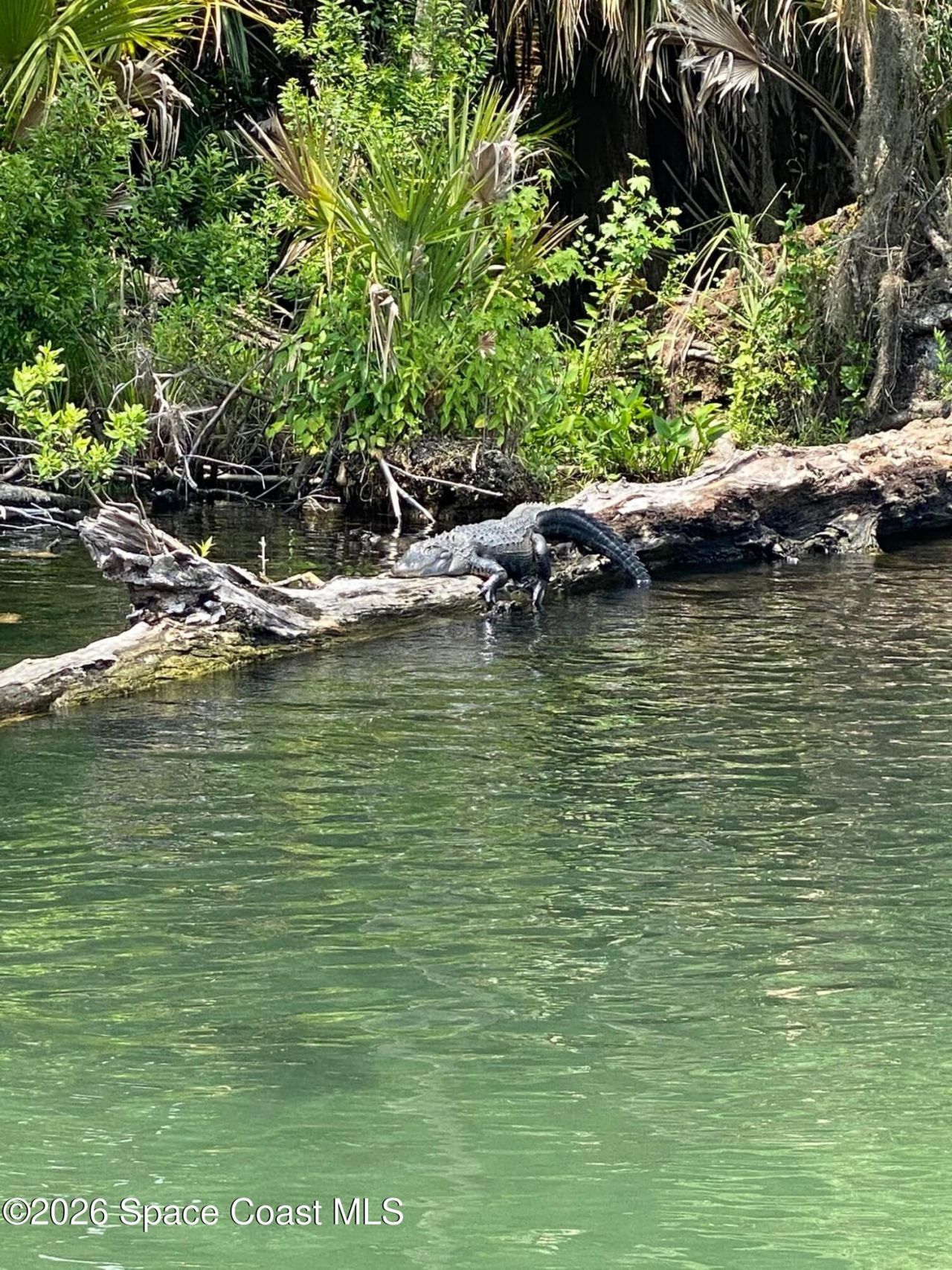 56304 Acorn Road, Astor, FL 32102 Photo