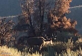 8522 Pinenut Creek Road, Gardnerville, NV 89410 Photo