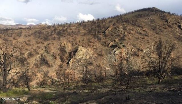 8522 Pinenut Creek Road, Gardnerville, NV 89410 Photo