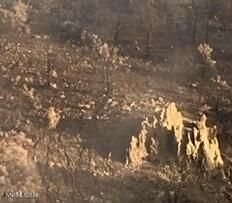 8522 Pinenut Creek Road, Gardnerville, NV 89410 Photo