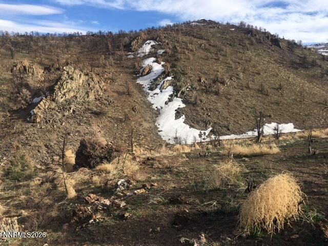 8522 Pinenut Creek Road, Gardnerville, NV 89410 Photo