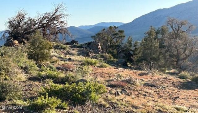 8522 Pinenut Creek Road, Gardnerville, NV 89410 Photo