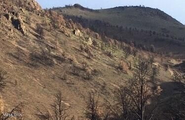 8522 Pinenut Creek Road, Gardnerville, NV 89410 Photo