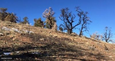 8522 Pinenut Creek Road, Gardnerville, NV 89410 Photo