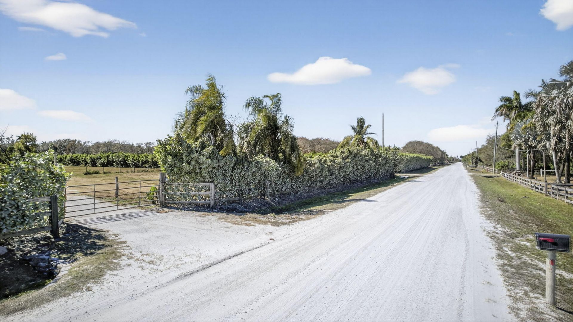 16296 Deer Path Lane, Wellington, FL 33470 Photo