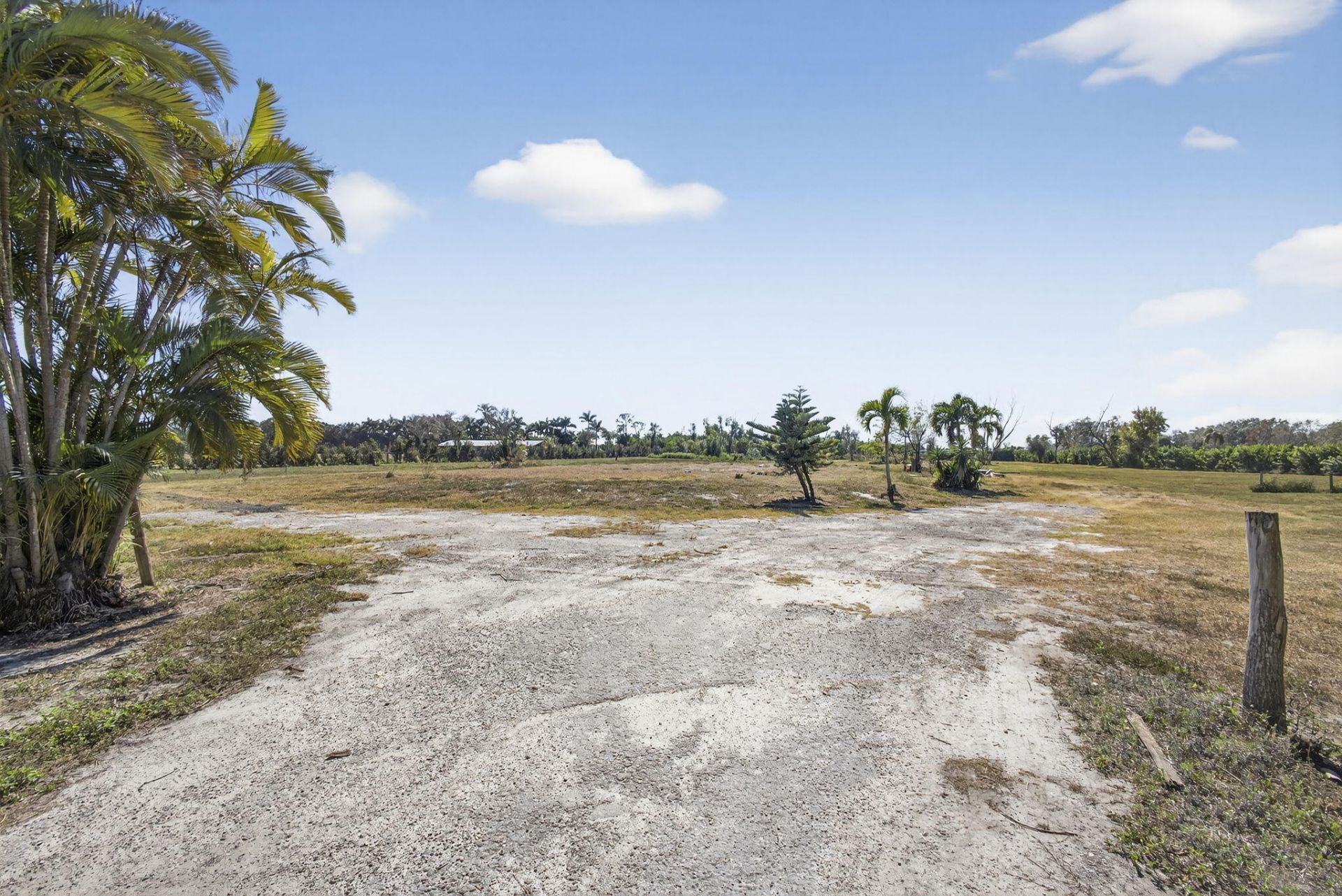 16296 Deer Path Lane, Wellington, FL 33470 Photo