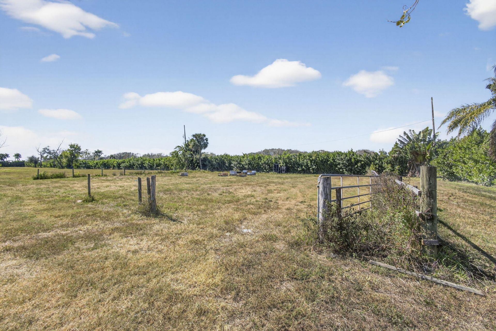 16296 Deer Path Lane, Wellington, FL 33470 Photo