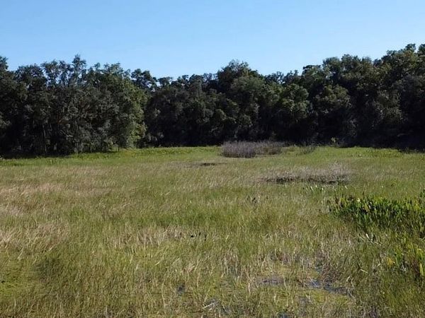 SW 70TH TER, BUSHNELL, FL 33513