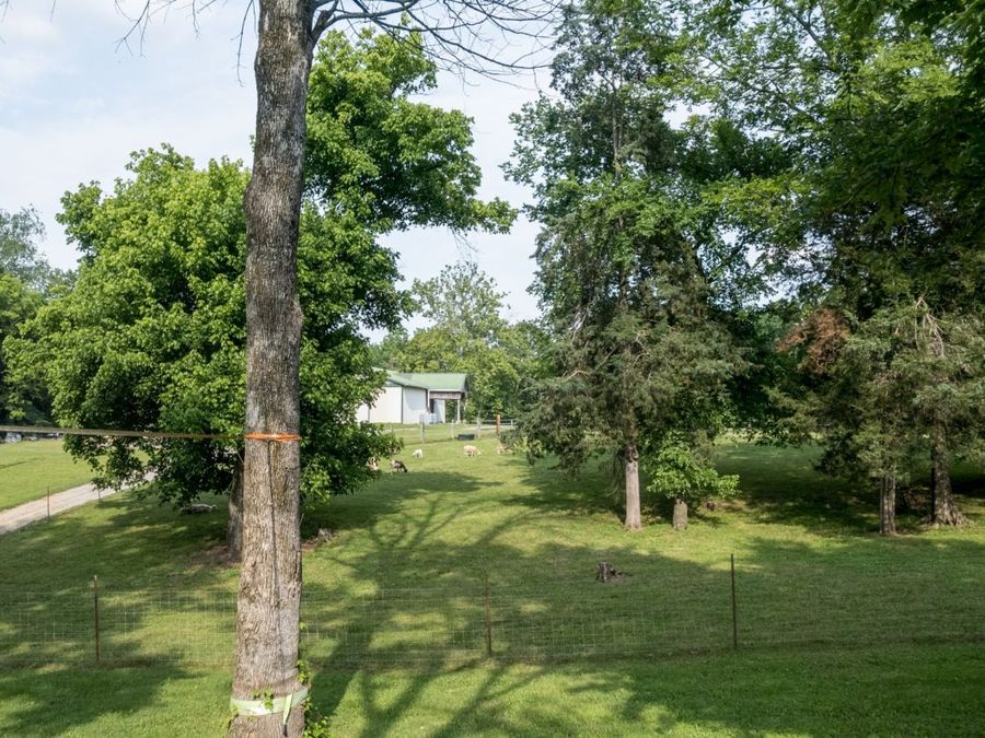 Property Image 56