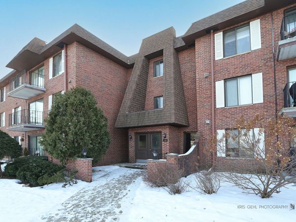 100 Clubhouse Lane, Unit 206, Lake Zurich, IL 60047
