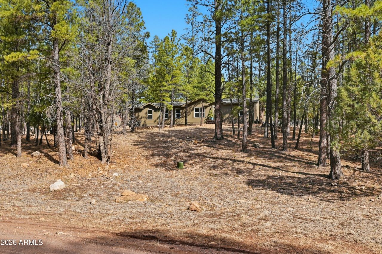 2381 Blue Ridge Drive, Happy Jack, AZ 86024 Main Photo