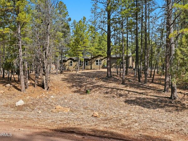 2381 BLUE RIDGE Drive, Happy Jack, AZ 86024