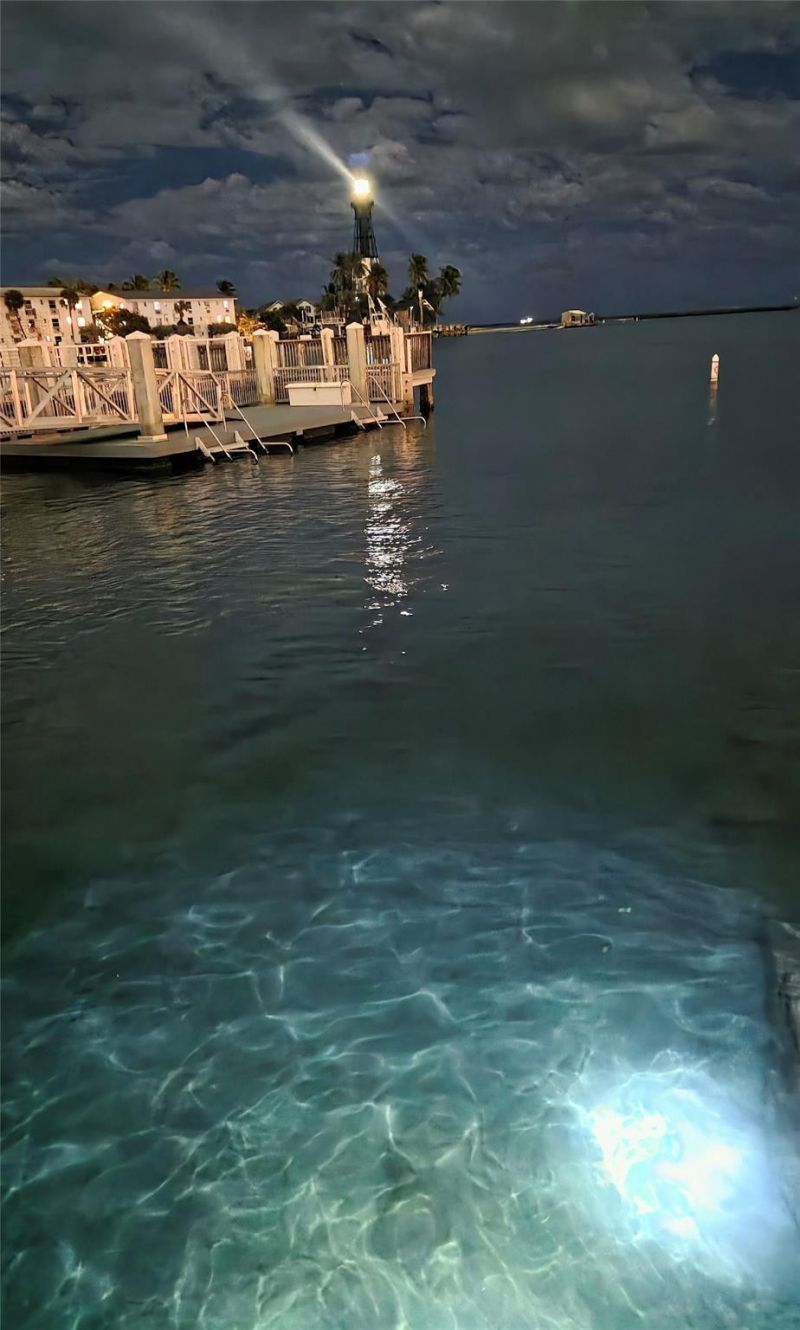 1009 N Ocean Boulevard, Unit 411, Pompano Beach, FL 33062 Photo