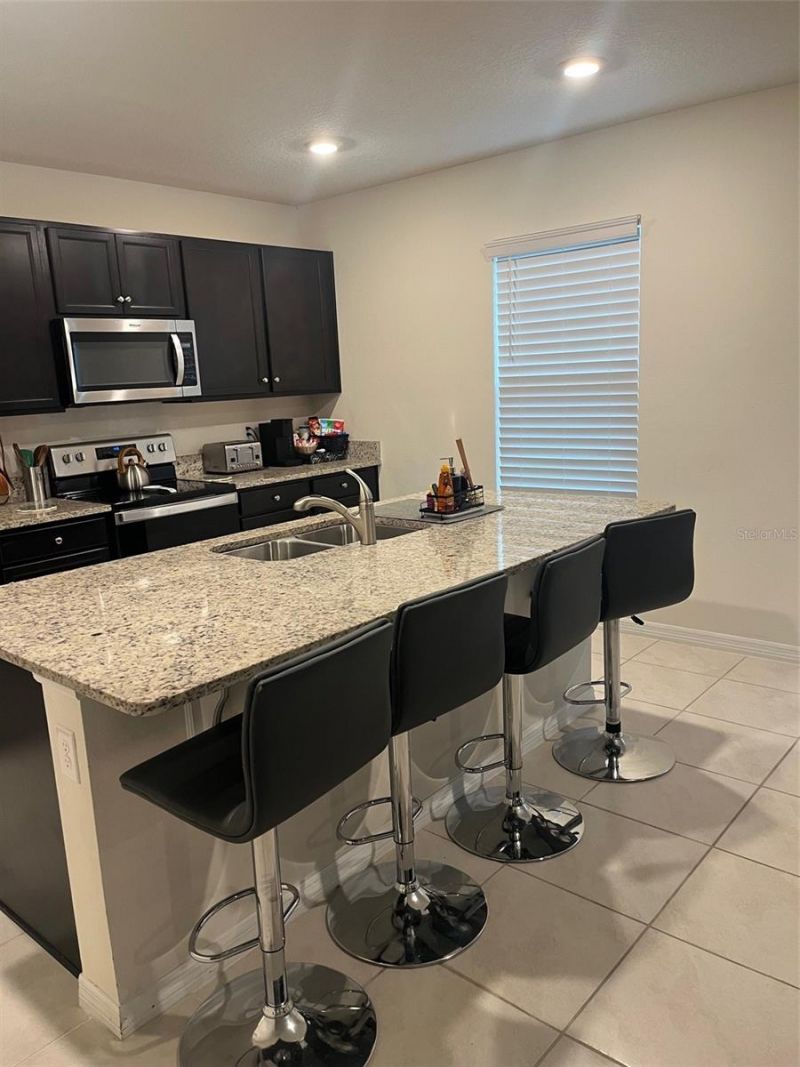 9673 Black Walnut Drive, Groveland, FL 34736 Photo