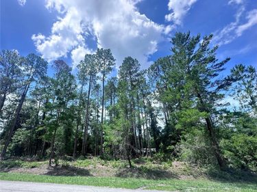 107 S GEORGETOWN POINT ROAD, GEORGETOWN, FL 32139