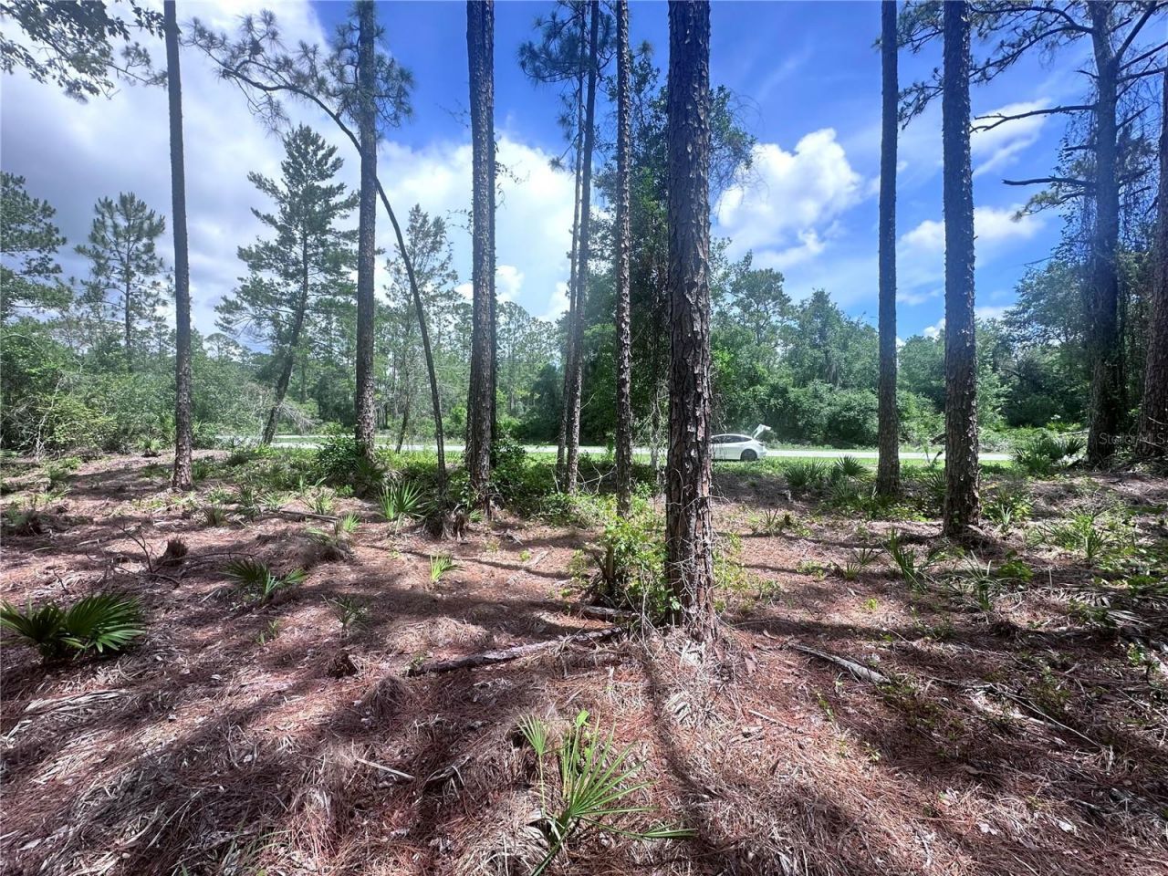 107 S Georgetown Point Road, Georgetown, FL 32139 Photo