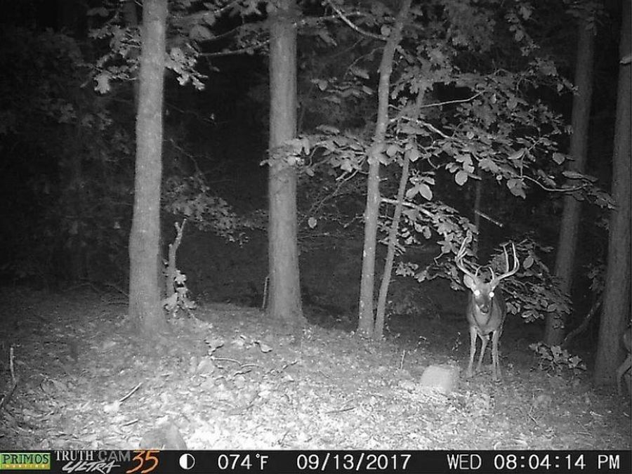 Property Image 58