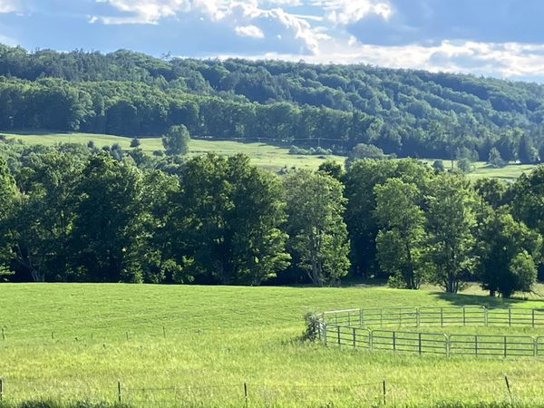 TBD Pine Creek Roads, Norway Twp, MI 49892